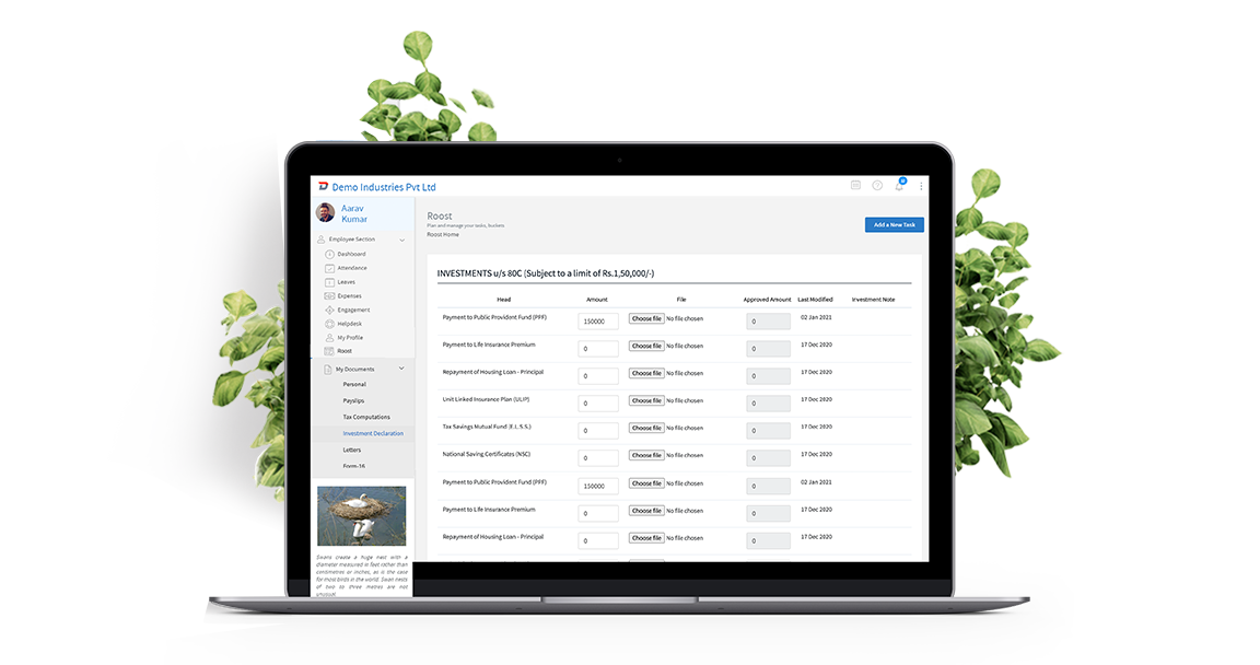 Teamnest Attendance management system preview of employee attendance tracking